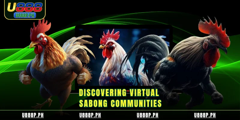 Discovering virtual sabong communities