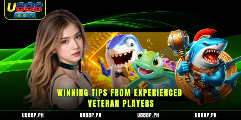 Winning tips from experienced veteran players